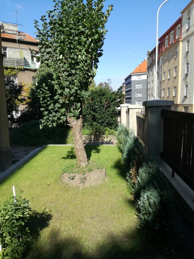 Jezerka Apartments Prag Exteriör bild